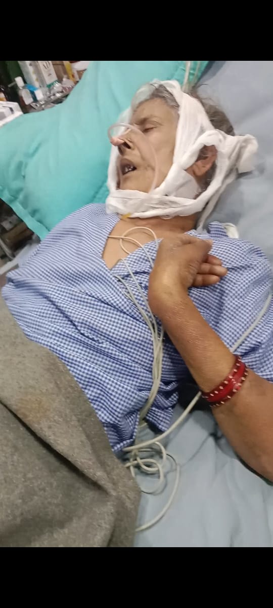 whatsapp image 2025 10 08 at 15.17.13 (1)