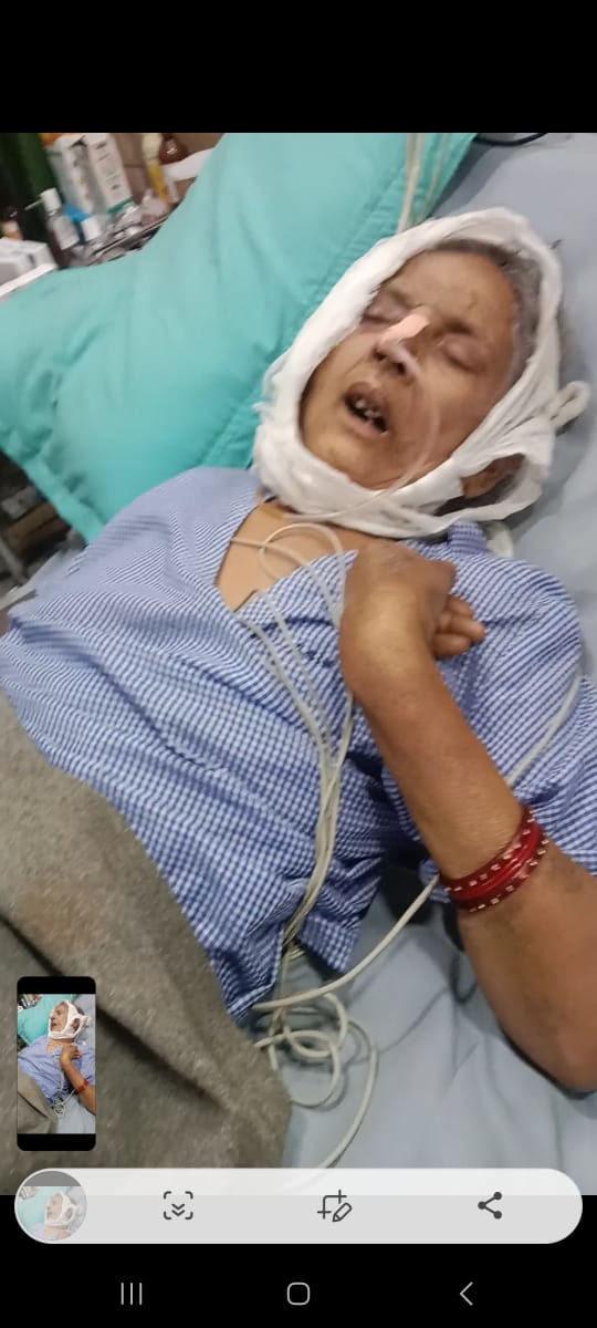 whatsapp image 2025 10 08 at 15.17.13